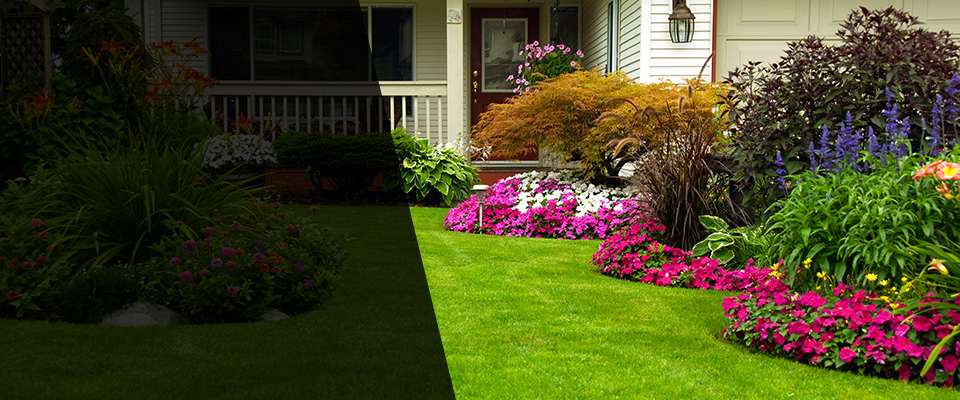 Haughton Landscapers