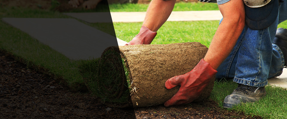 Haughton Landscapers